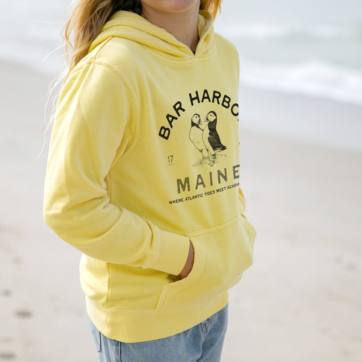 Bar Harbor Maine - Atlantic Puffins - Youth Pigment Dyed Hoodie