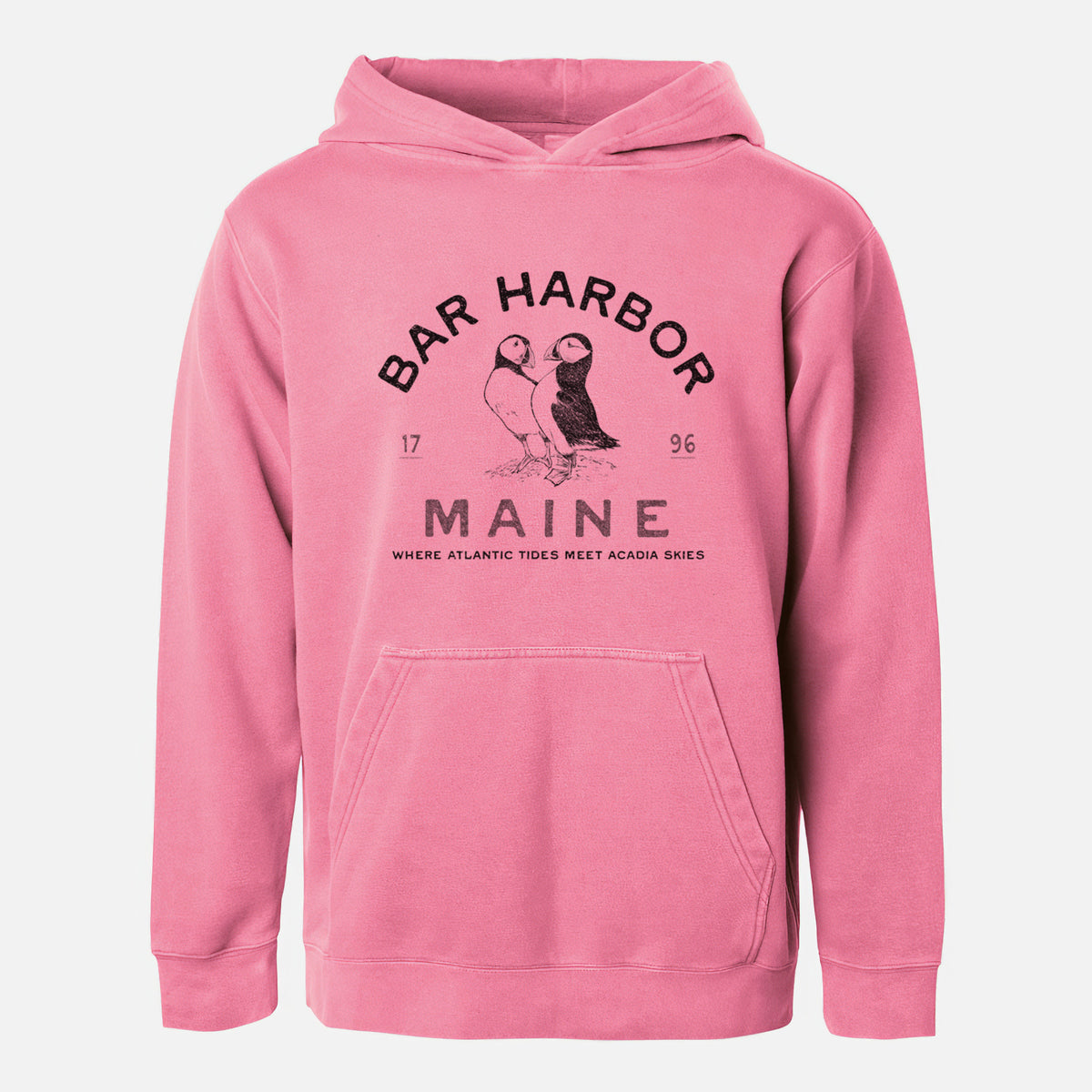 Bar Harbor Maine - Atlantic Puffins - Youth Pigment Dyed Hoodie