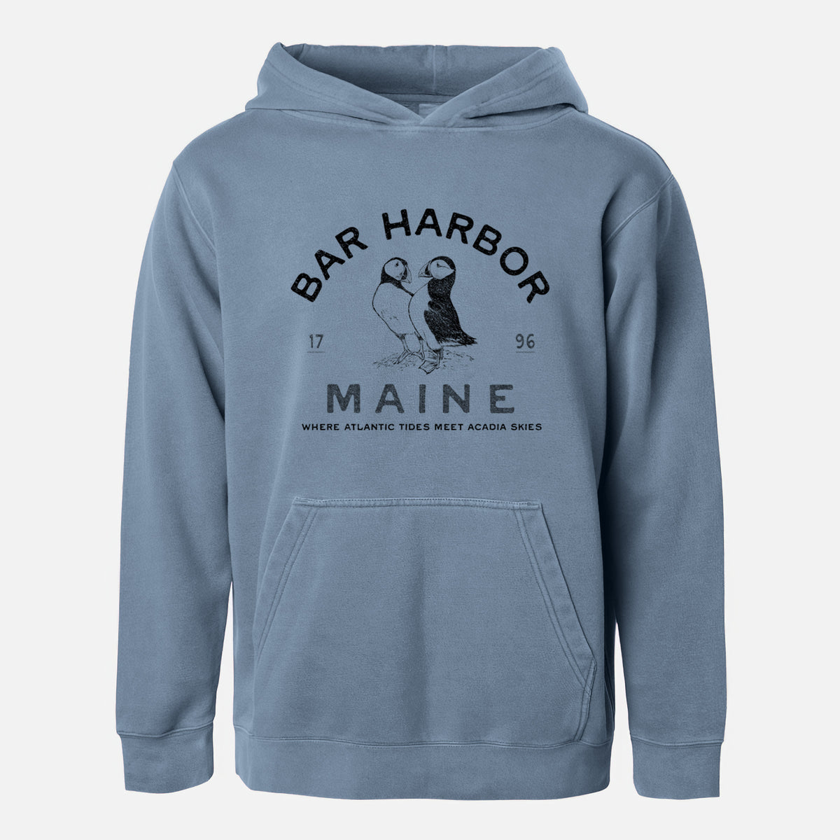 Bar Harbor Maine - Atlantic Puffins - Youth Pigment Dyed Hoodie