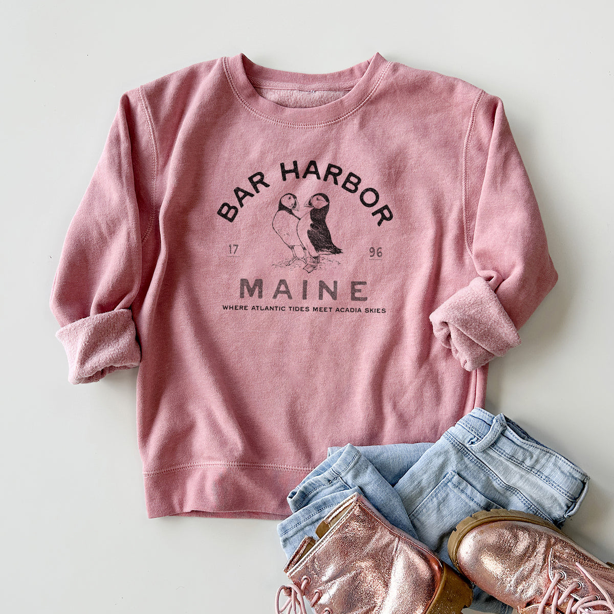 Bar Harbor Maine - Atlantic Puffins - Youth Lightweight Crewneck Sweatshirt