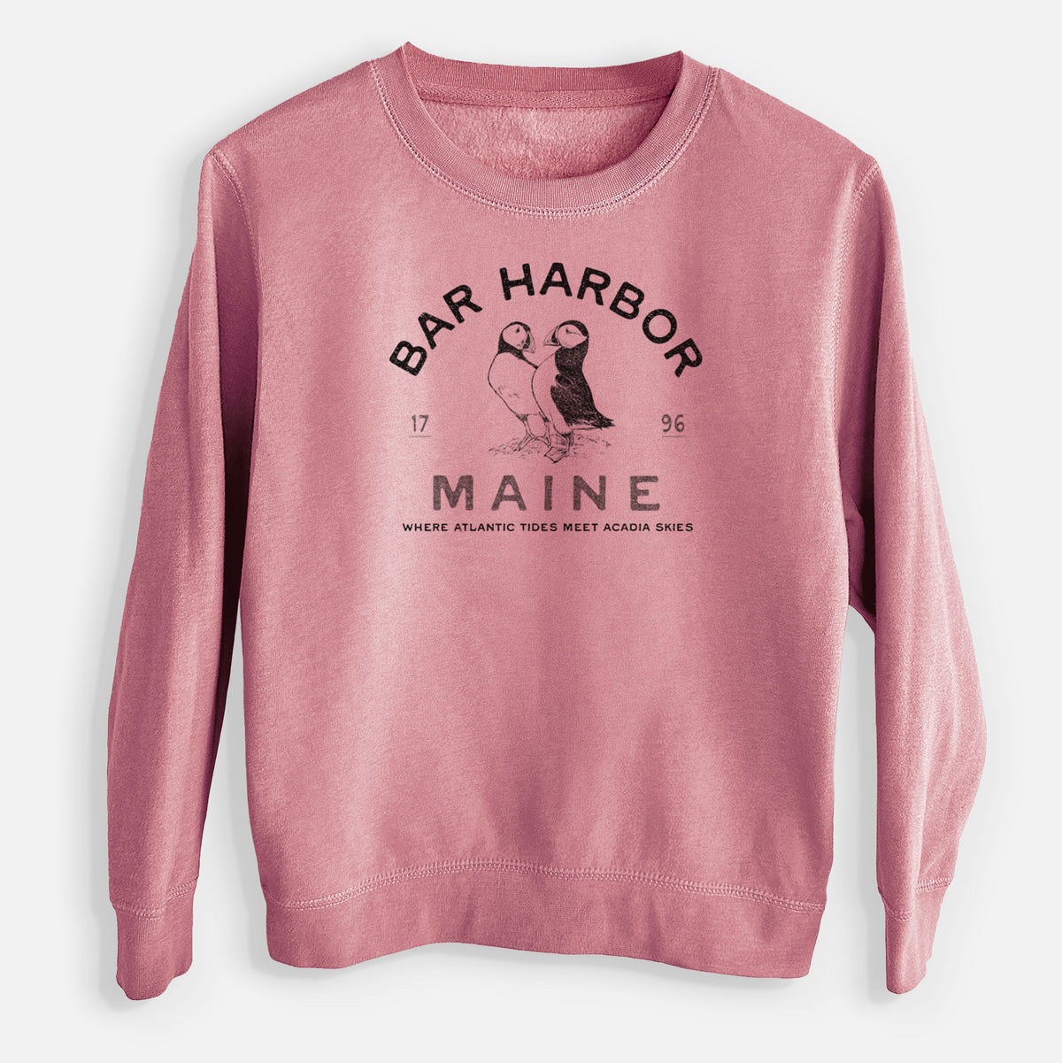 Bar Harbor Maine - Atlantic Puffins - Youth Lightweight Crewneck Sweatshirt