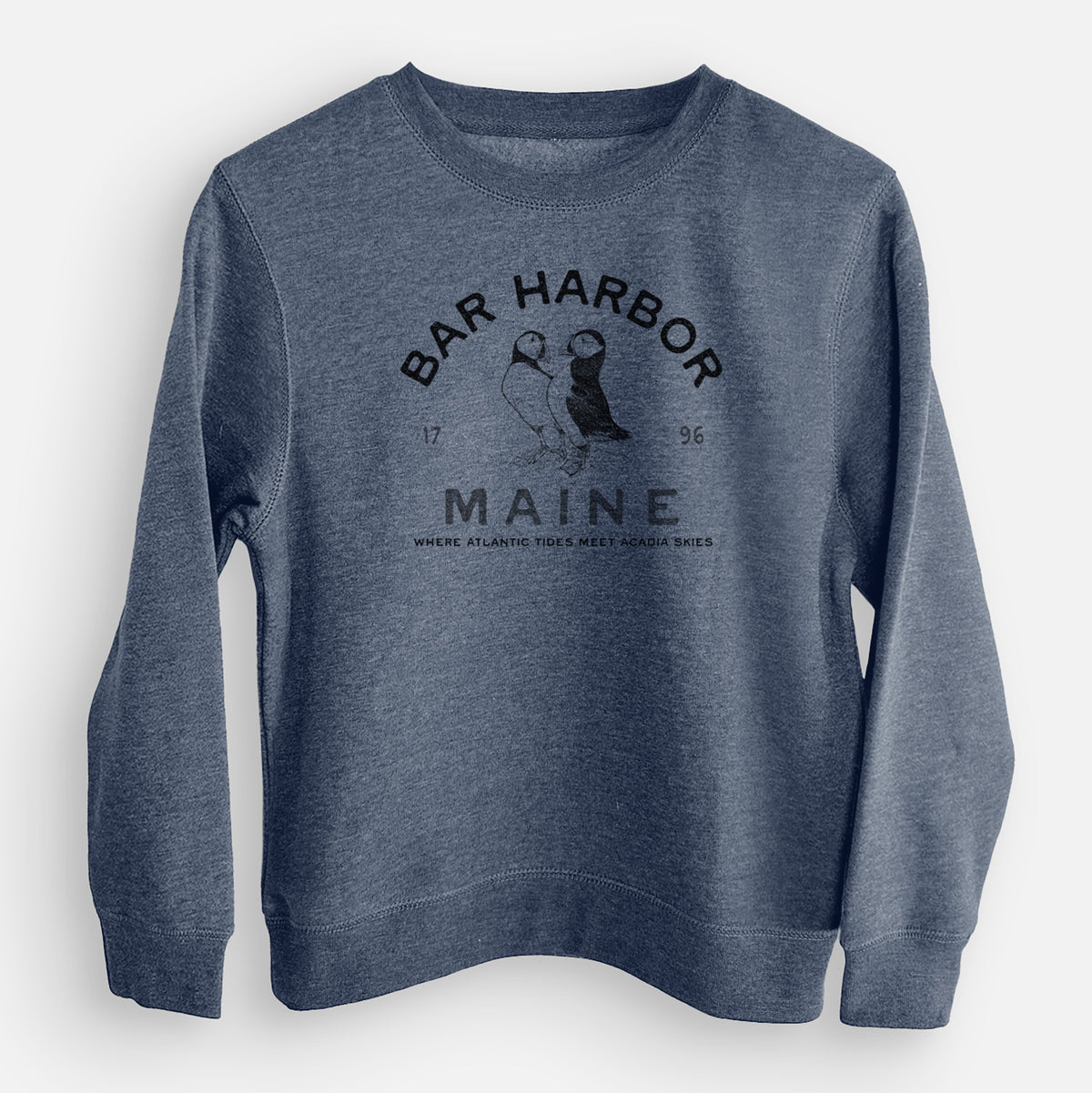 Bar Harbor Maine - Atlantic Puffins - Youth Lightweight Crewneck Sweatshirt