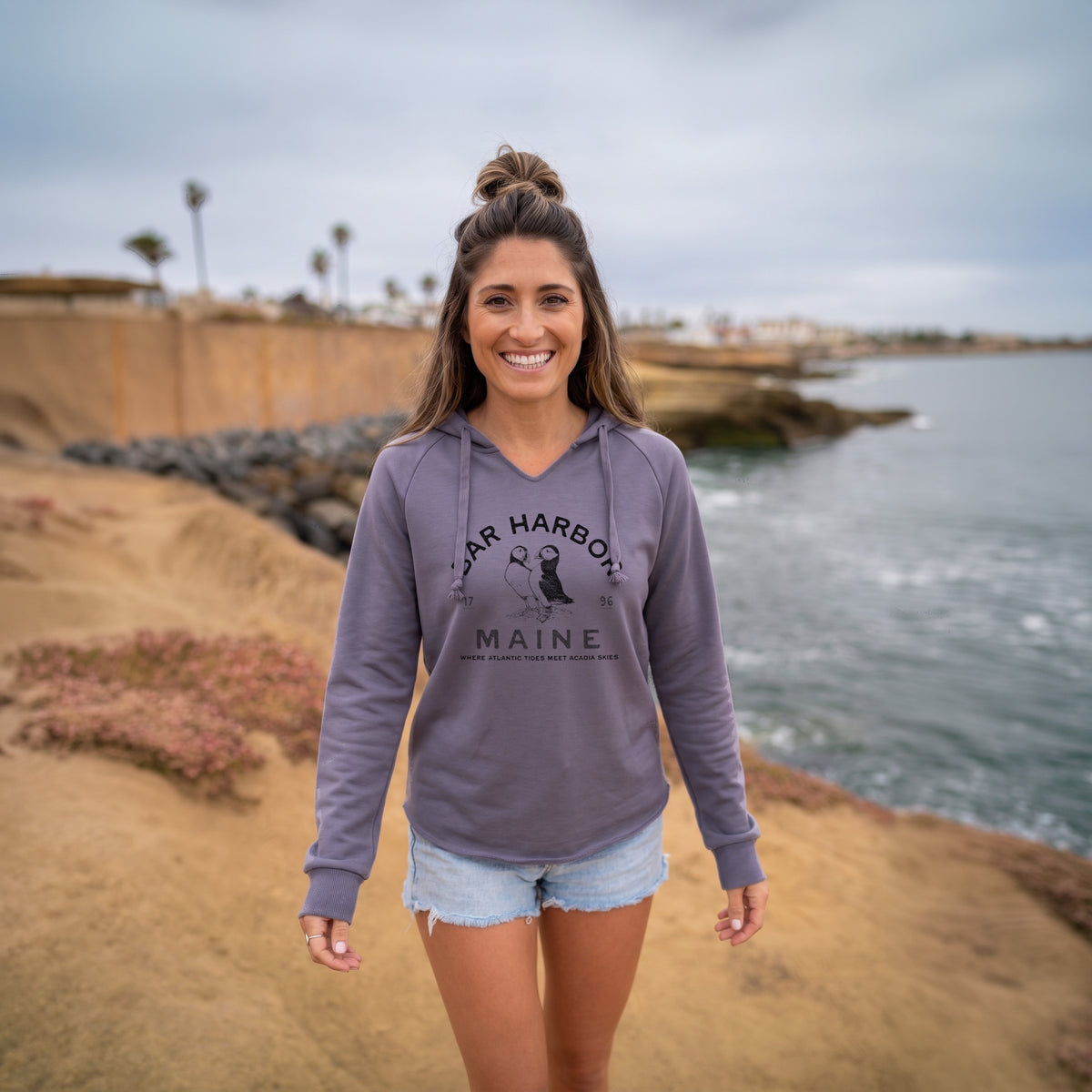 Bar Harbor Maine - Atlantic Puffins - Cali Wave Hooded Sweatshirt