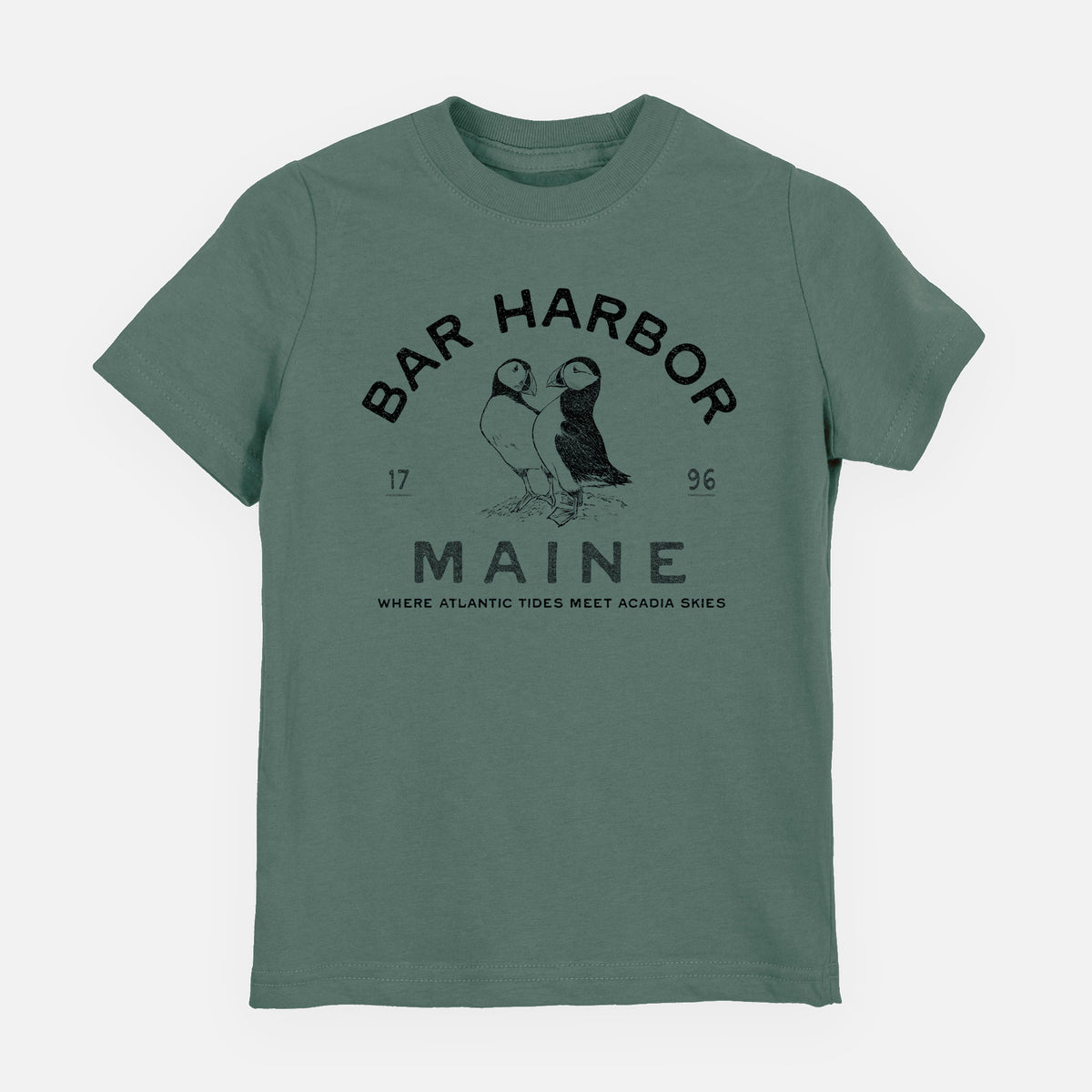 Bar Harbor Maine - Atlantic Puffins - Toddler/Youth Shirt
