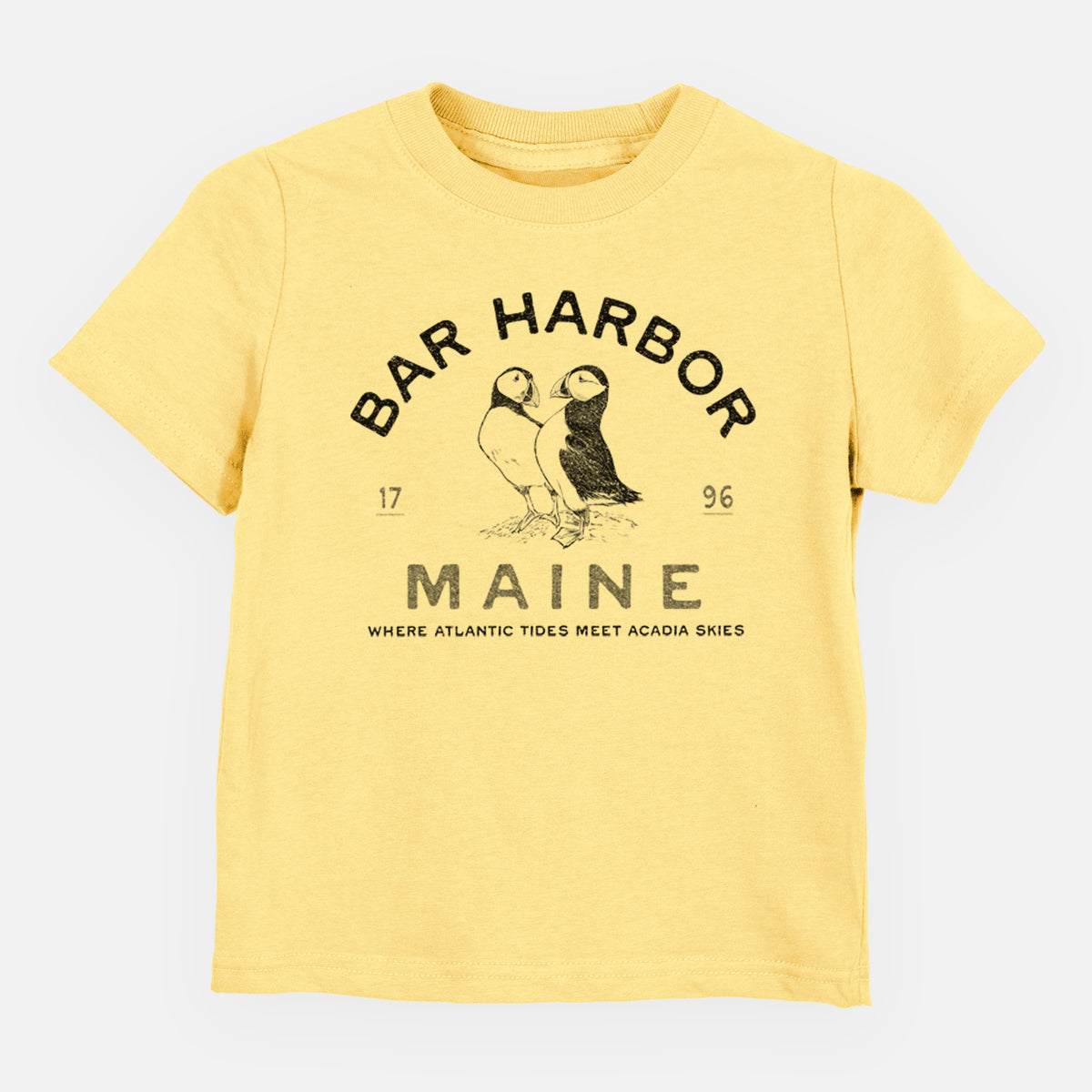 Bar Harbor Maine - Atlantic Puffins - Toddler/Youth Shirt