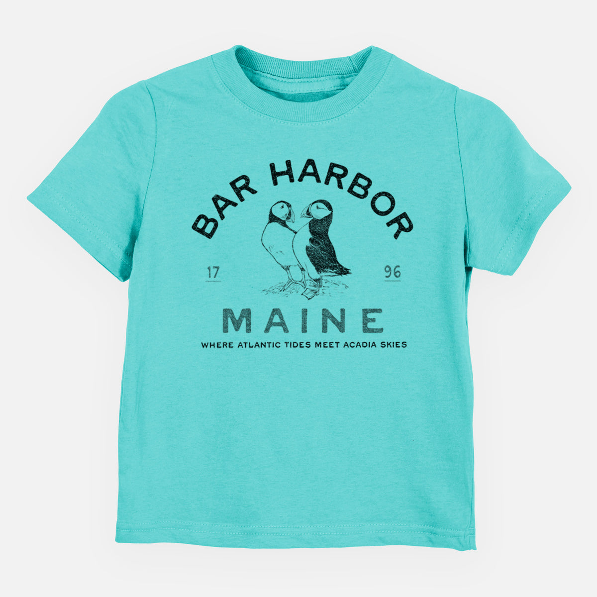 Bar Harbor Maine - Atlantic Puffins - Toddler/Youth Shirt