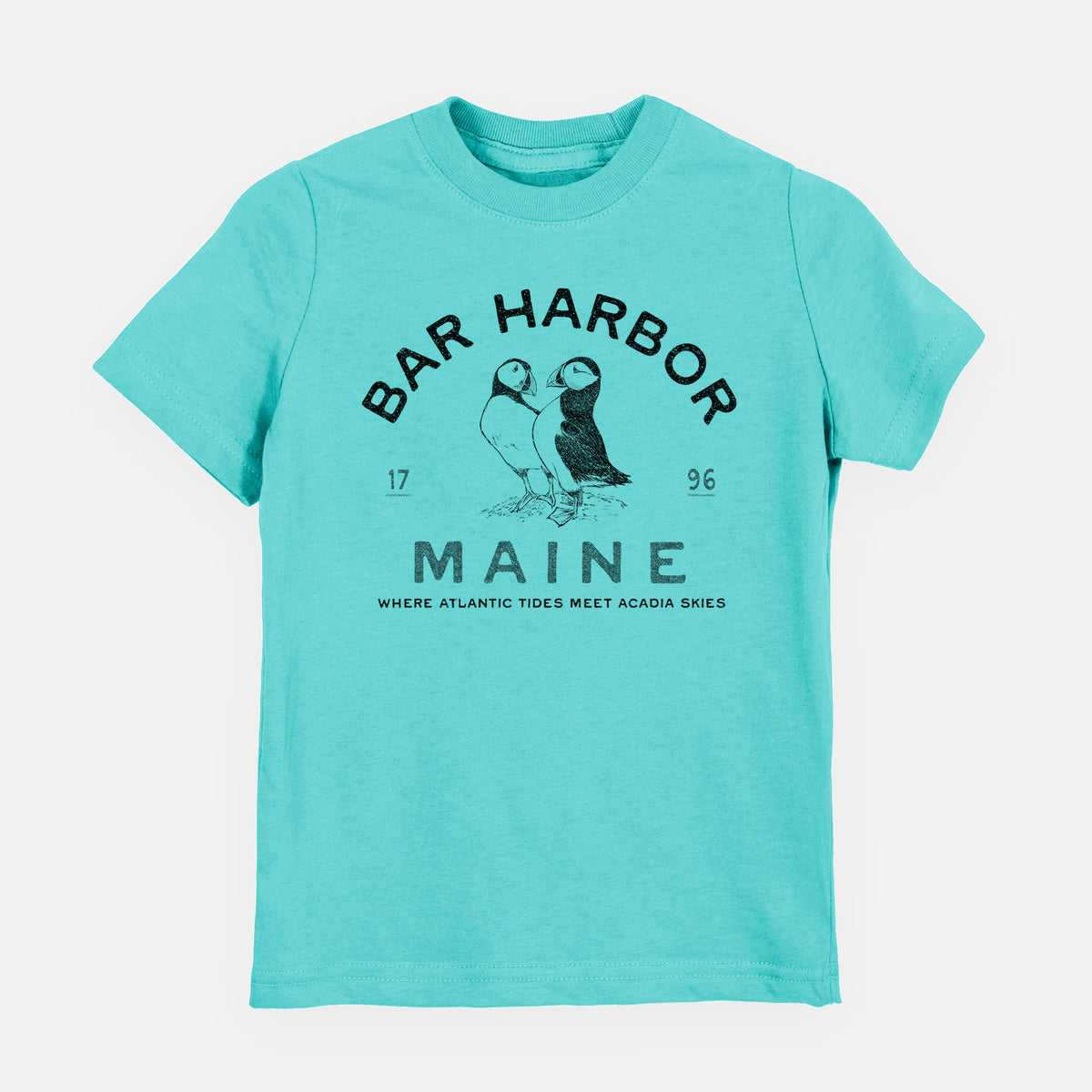Bar Harbor Maine - Atlantic Puffins - Toddler/Youth Shirt
