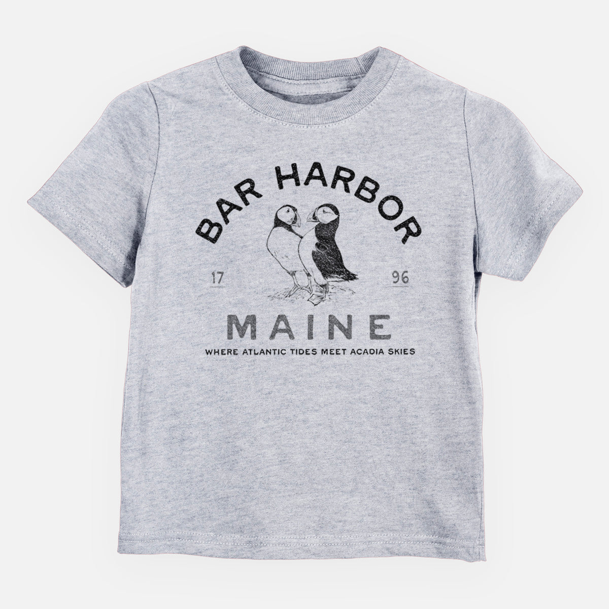 Bar Harbor Maine - Atlantic Puffins - Toddler/Youth Shirt