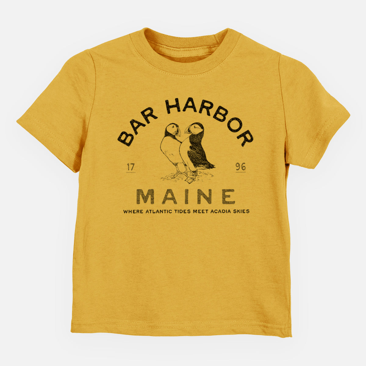 Bar Harbor Maine - Atlantic Puffins - Toddler/Youth Shirt