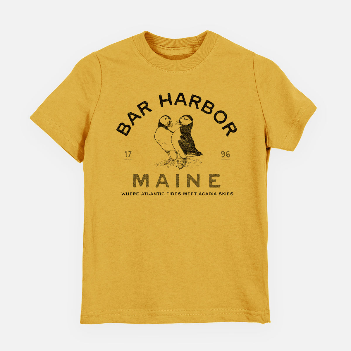 Bar Harbor Maine - Atlantic Puffins - Toddler/Youth Shirt