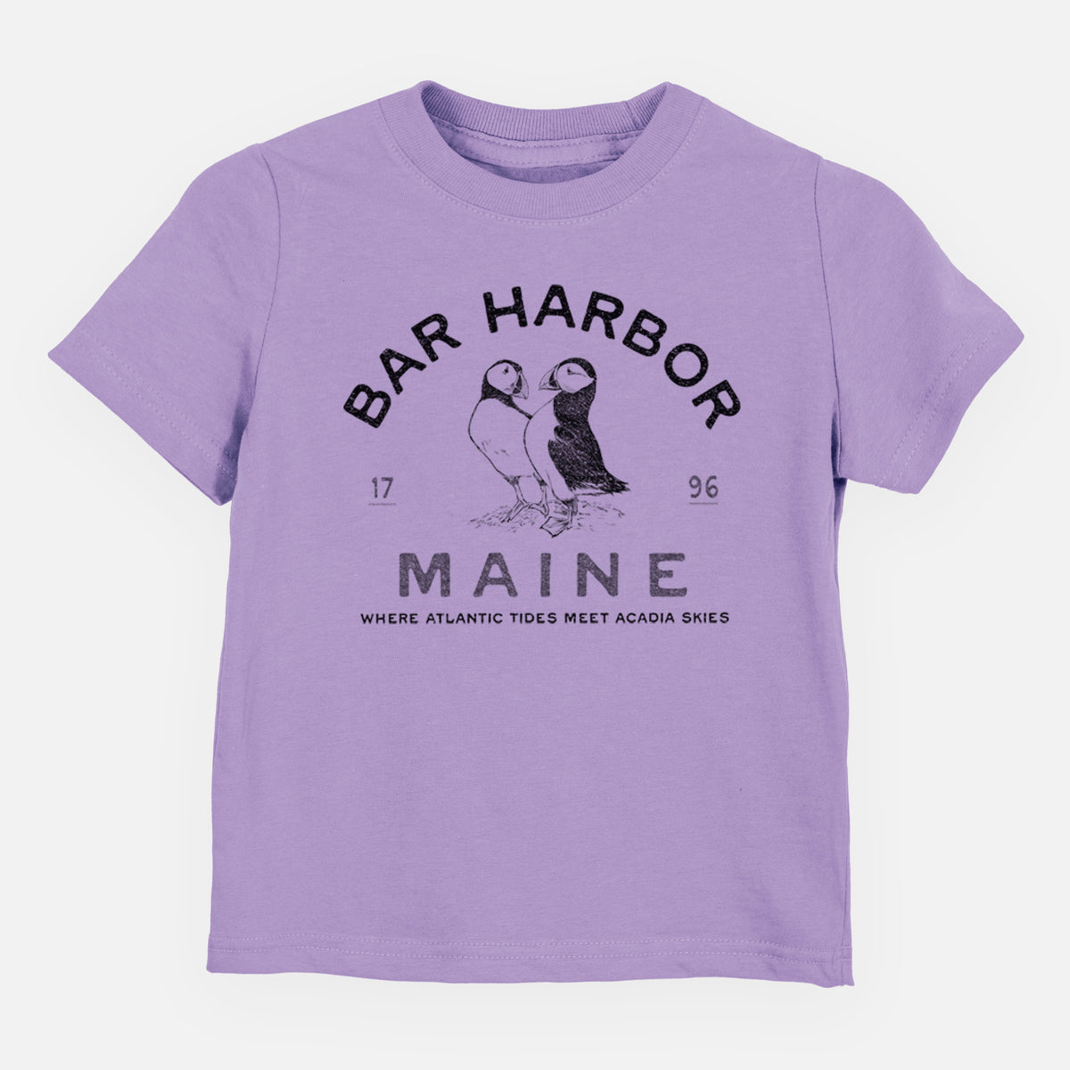 Bar Harbor Maine - Atlantic Puffins - Toddler/Youth Shirt