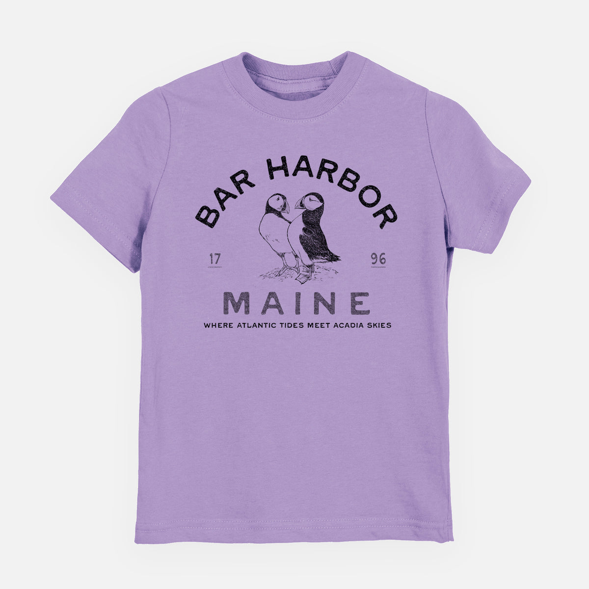 Bar Harbor Maine - Atlantic Puffins - Toddler/Youth Shirt