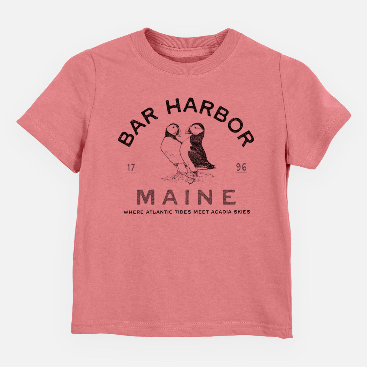 Bar Harbor Maine - Atlantic Puffins - Toddler/Youth Shirt