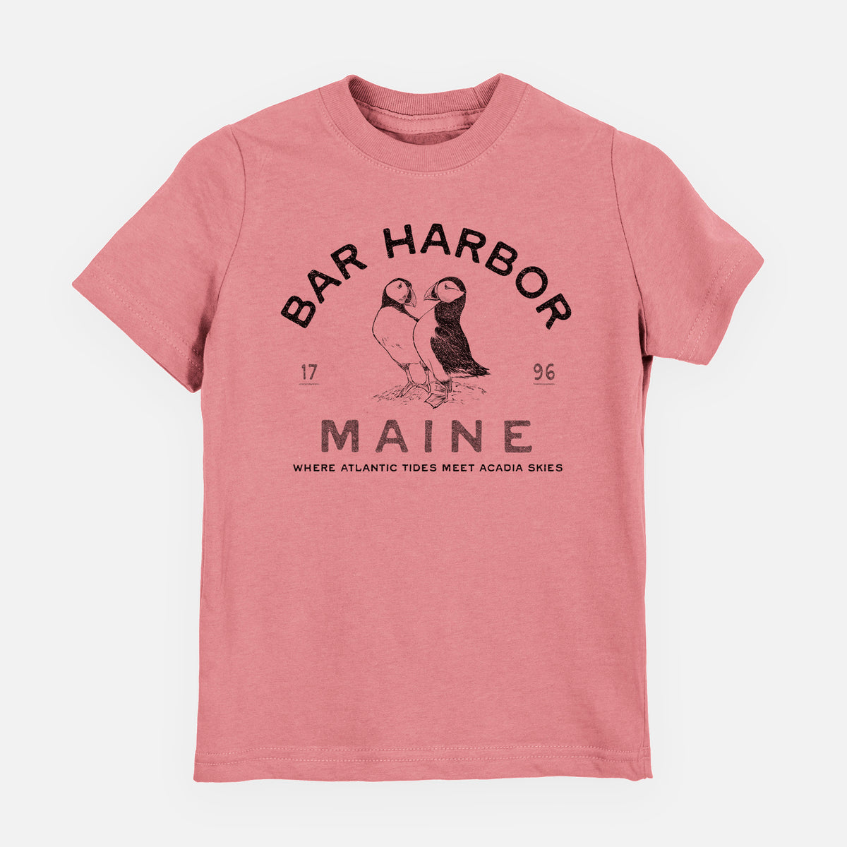 Bar Harbor Maine - Atlantic Puffins - Toddler/Youth Shirt