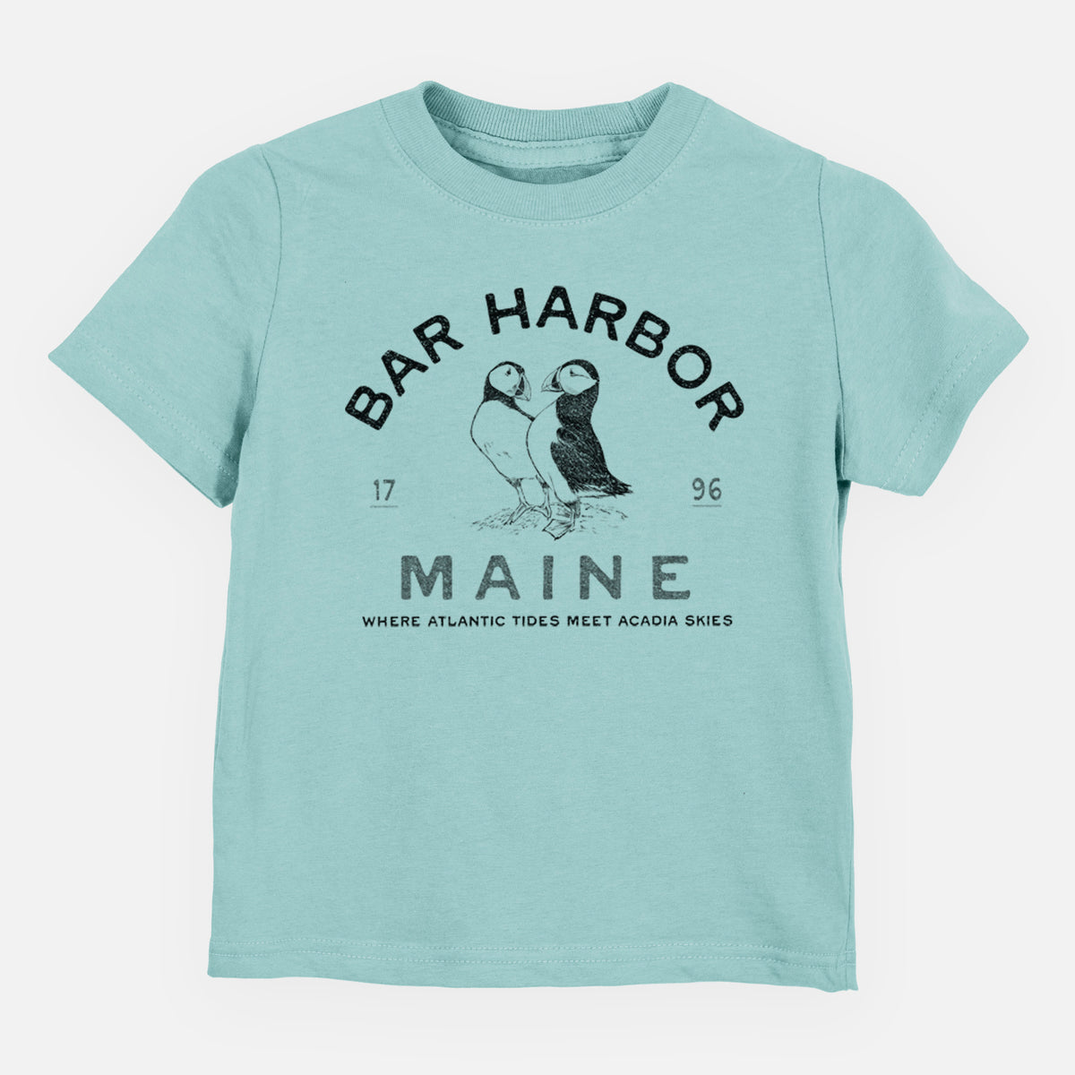 Bar Harbor Maine - Atlantic Puffins - Toddler/Youth Shirt