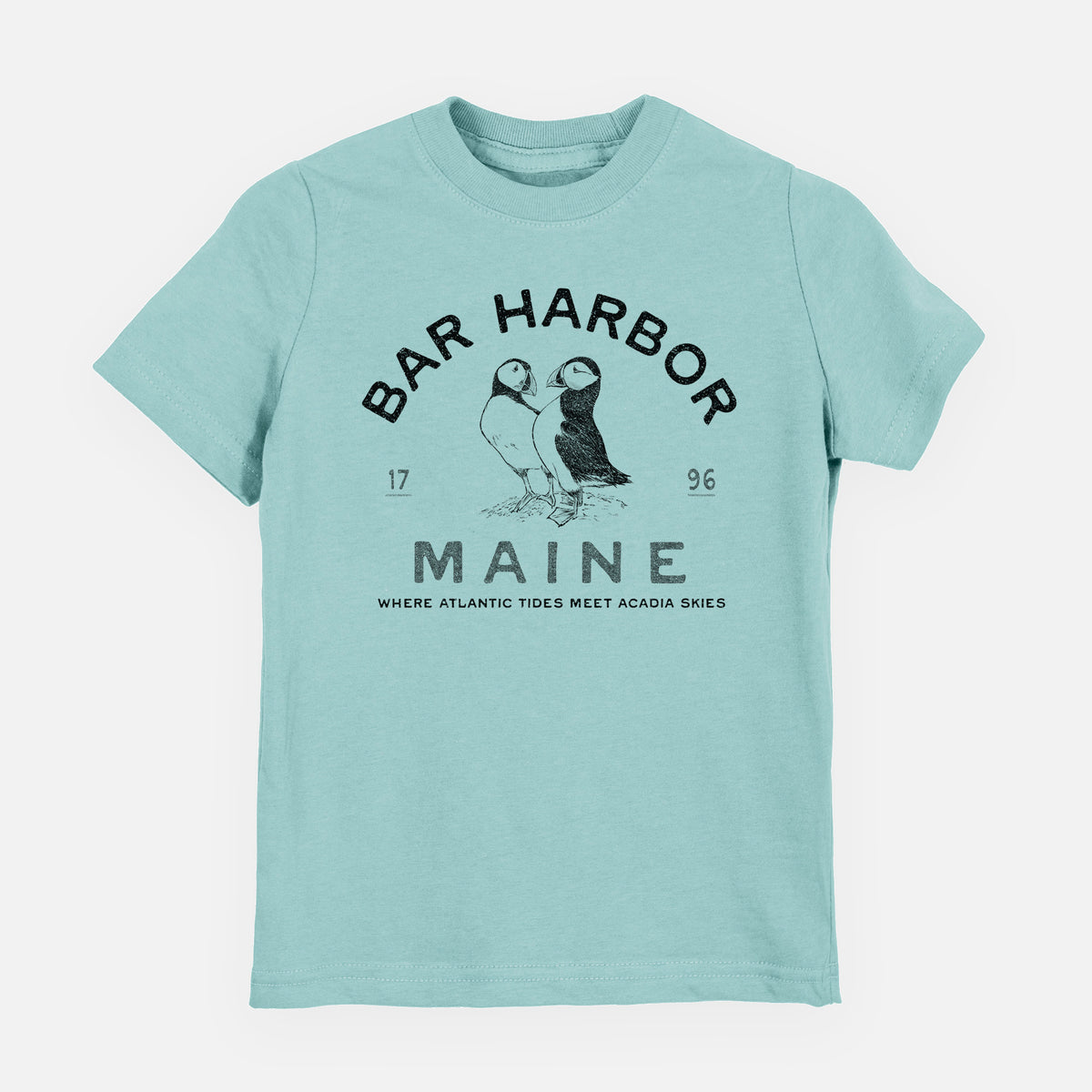 Bar Harbor Maine - Atlantic Puffins - Toddler/Youth Shirt