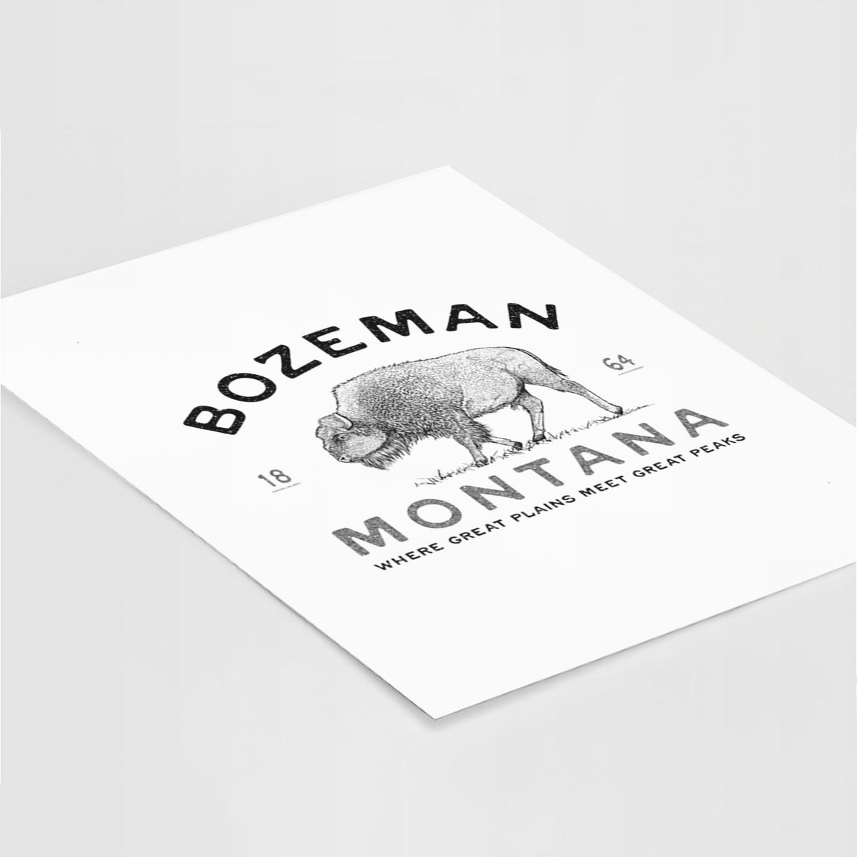 Bozeman Montana Bison - Fine Art Print