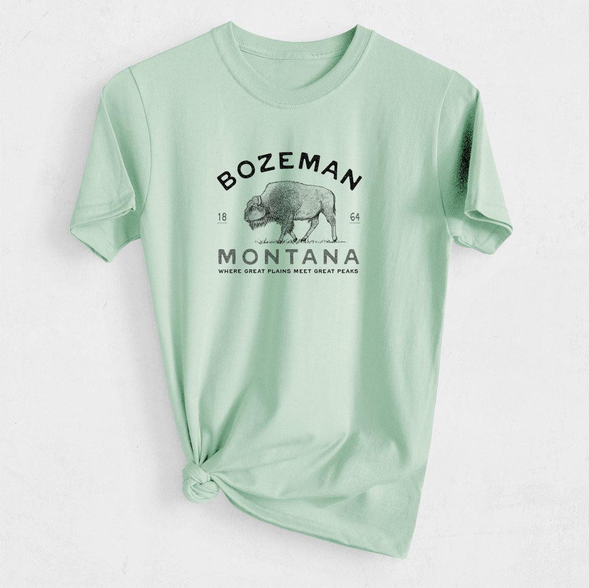 Bozeman Montana Bison - Heavyweight Men&#39;s 100% Organic Cotton Tee