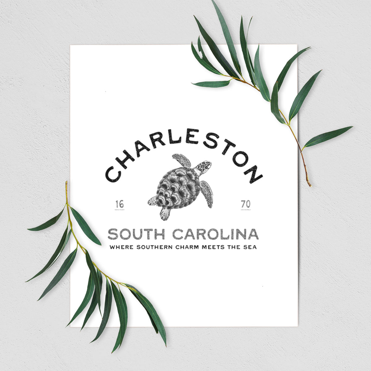 Charleston South Carolina - Loggerhead Sea Turtle - Fine Art Print