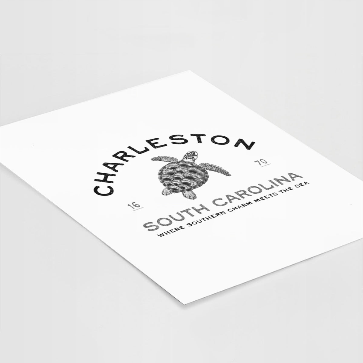 Charleston South Carolina - Loggerhead Sea Turtle - Fine Art Print