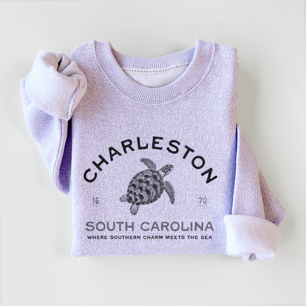 Charleston South Carolina - Loggerhead Sea Turtle - Knit Sweatshirt