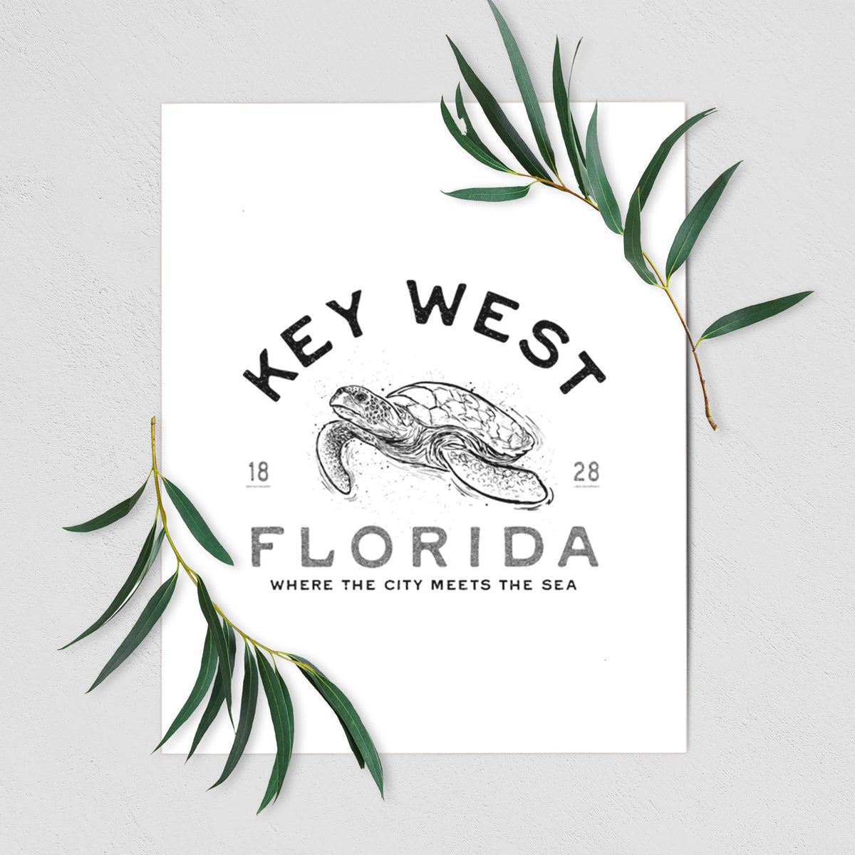 Key West Florida Sea Turtle - Fine Art Print