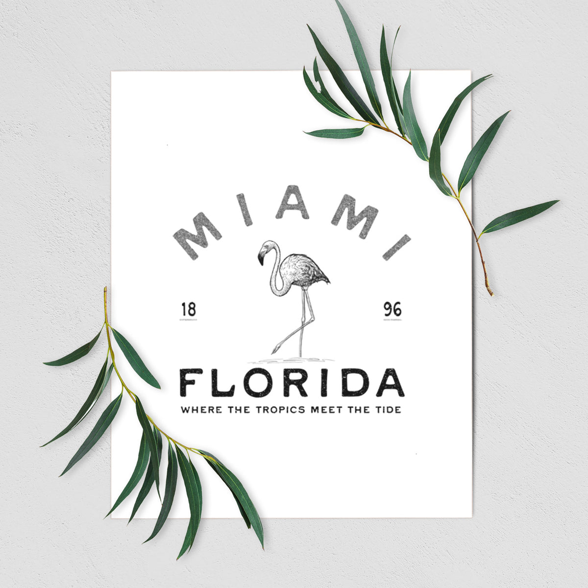 Miami Florida Flamingo - Fine Art Print