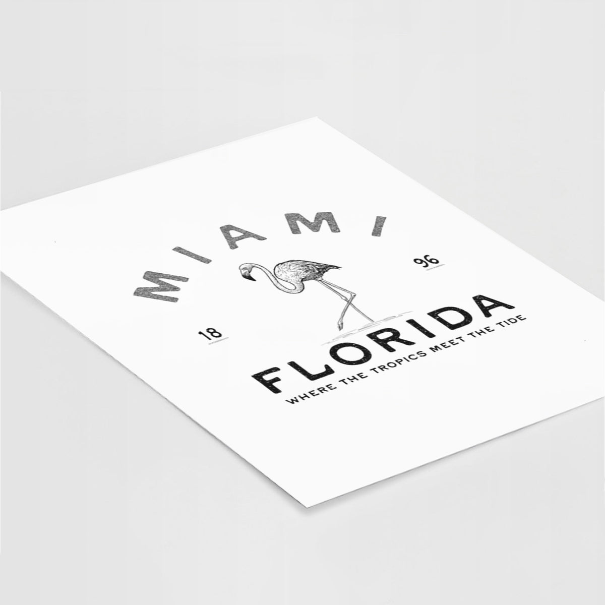 Miami Florida Flamingo - Fine Art Print