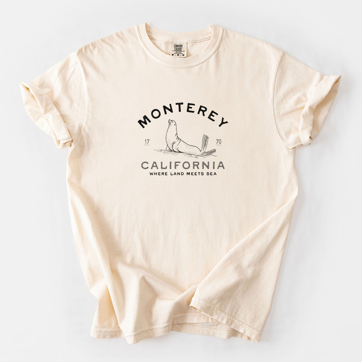 Monterey Sea Lion - Unisex Comfort Colors Garment-Dyed Heavyweight T-shirt