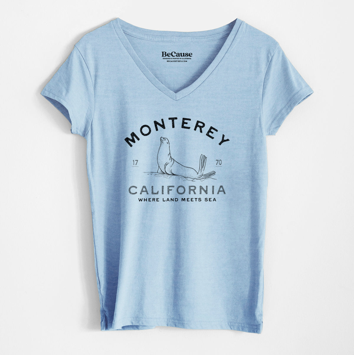 Monterey Sea Lion - Women&#39;s 100% Recycled V-neck