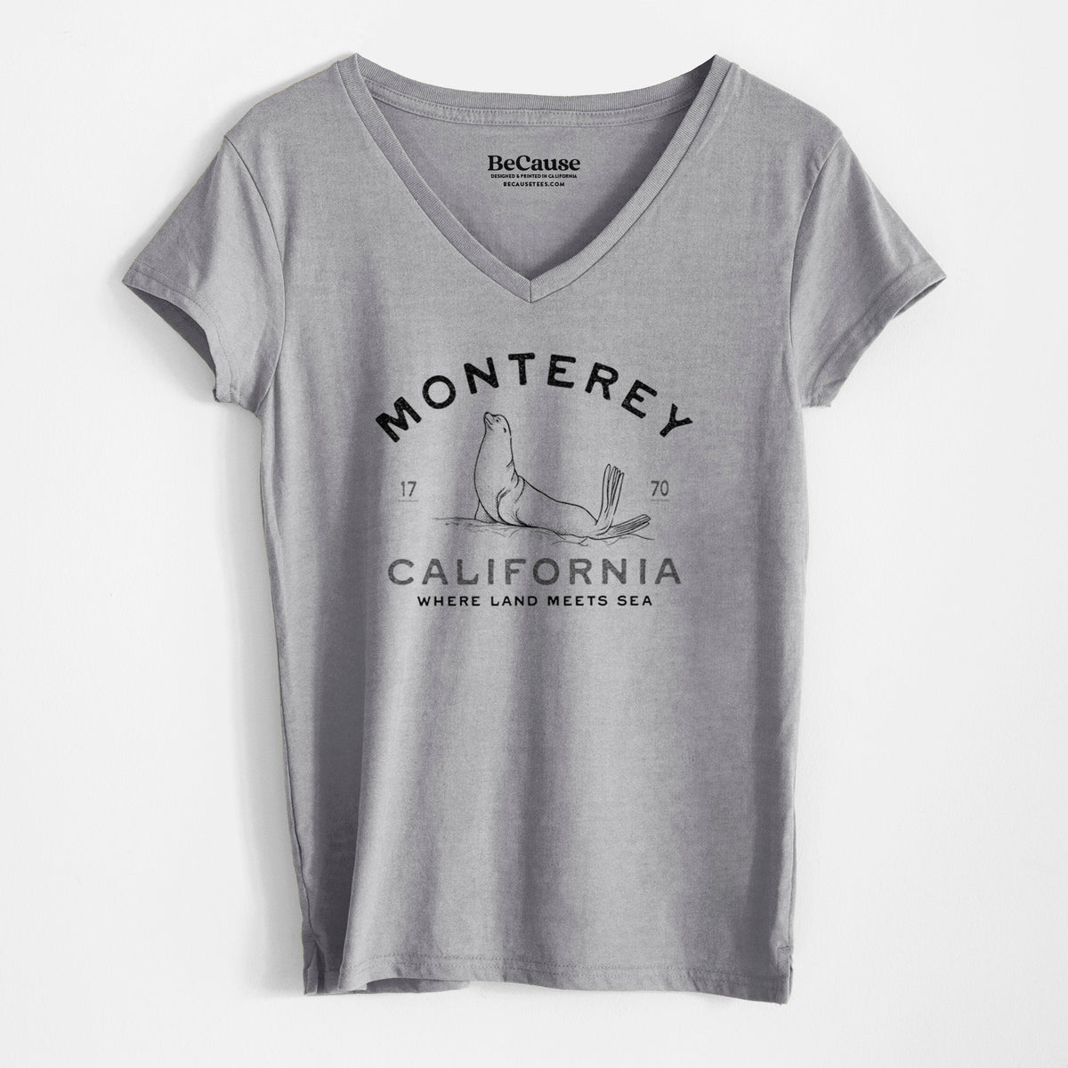 Monterey Sea Lion - Women&#39;s 100% Recycled V-neck