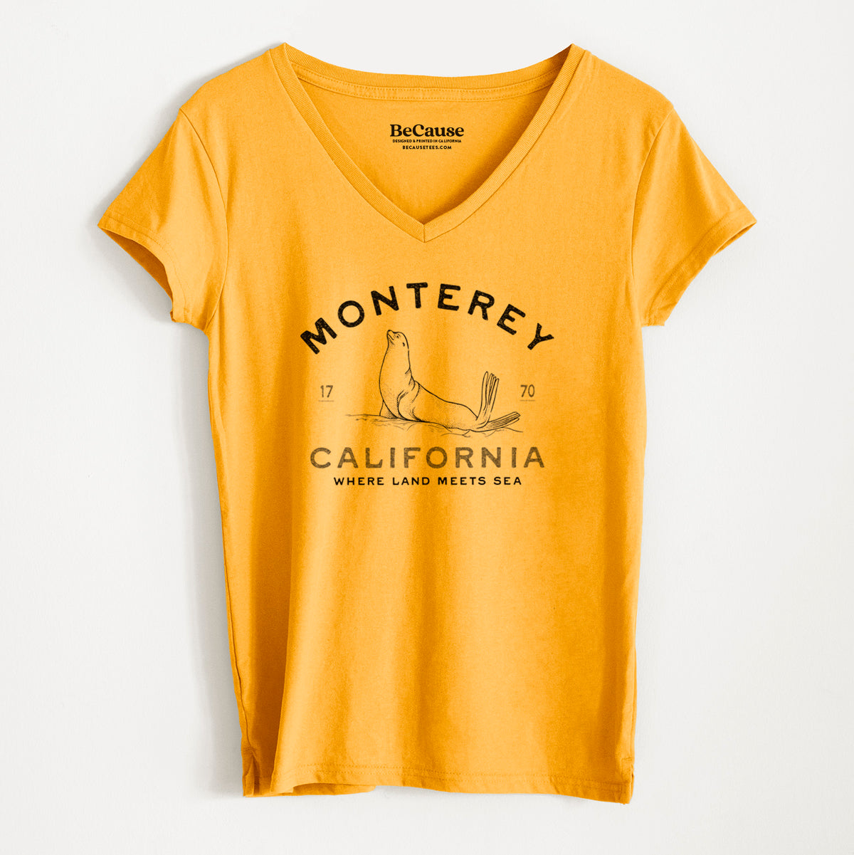 Monterey Sea Lion - Women&#39;s 100% Recycled V-neck