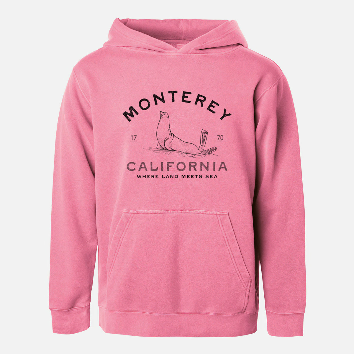 Monterey Sea Lion - Youth Pigment Dyed Hoodie