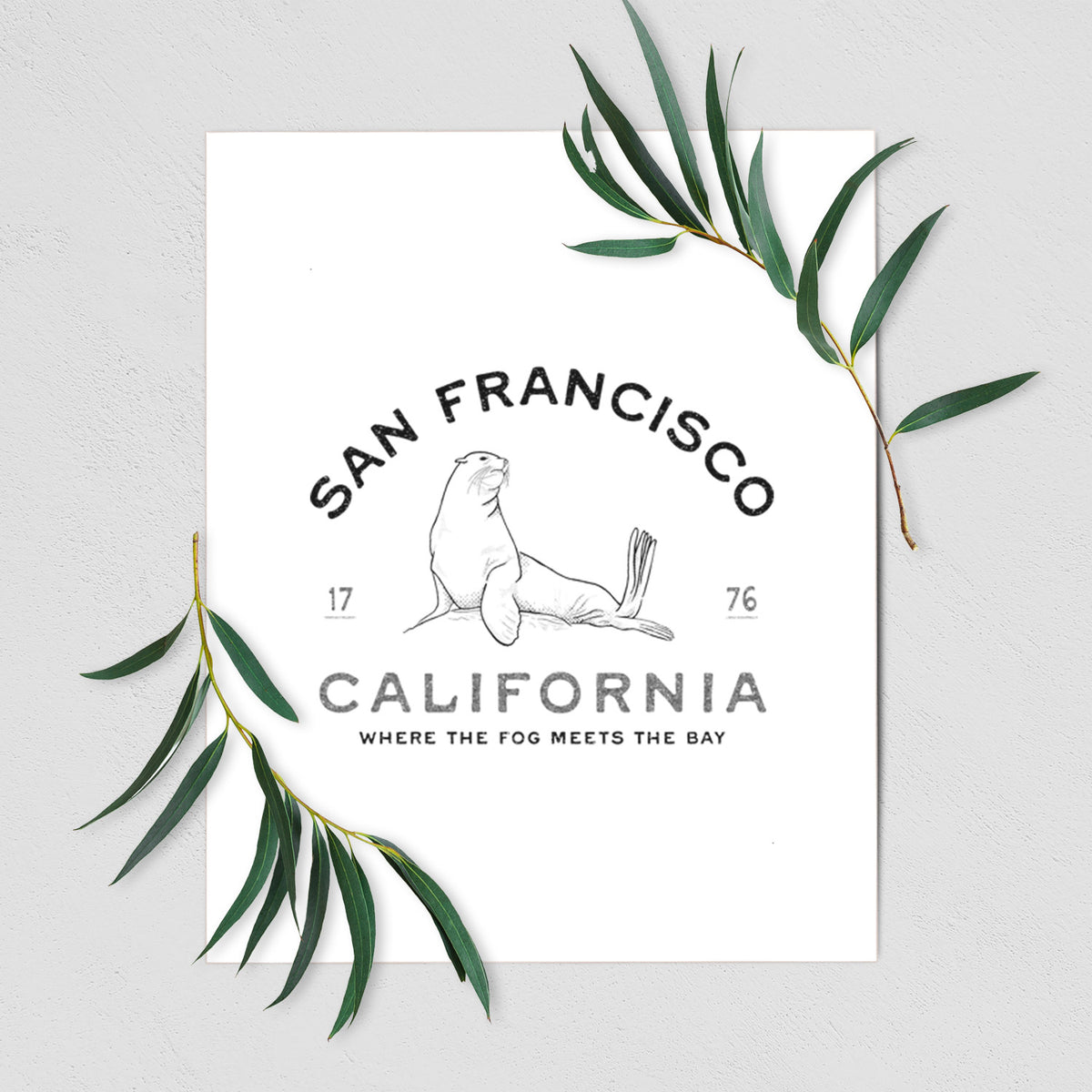 San Francisco California - Sea Lion - Fine Art Print