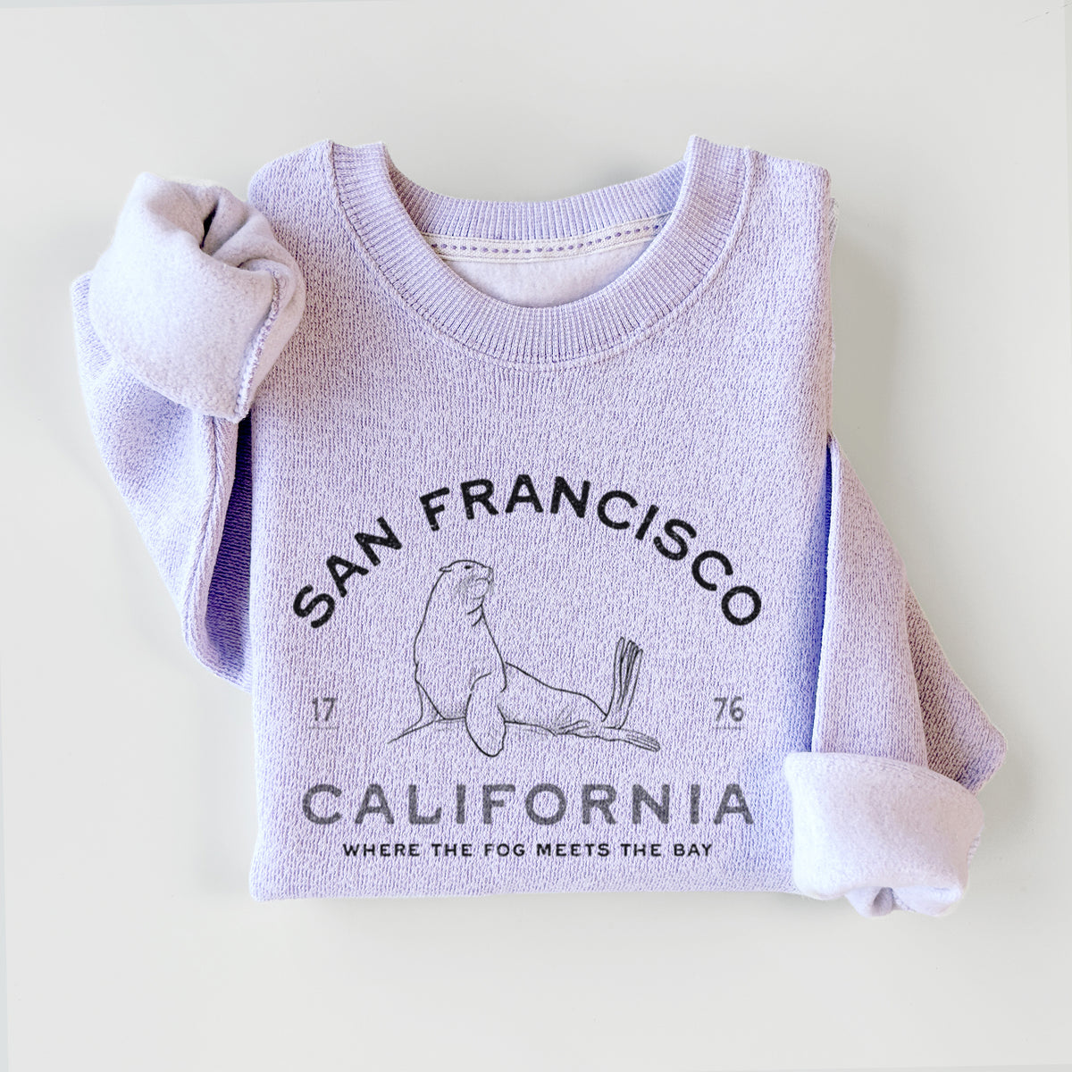 San Francisco California - Sea Lion - Knit Sweatshirt