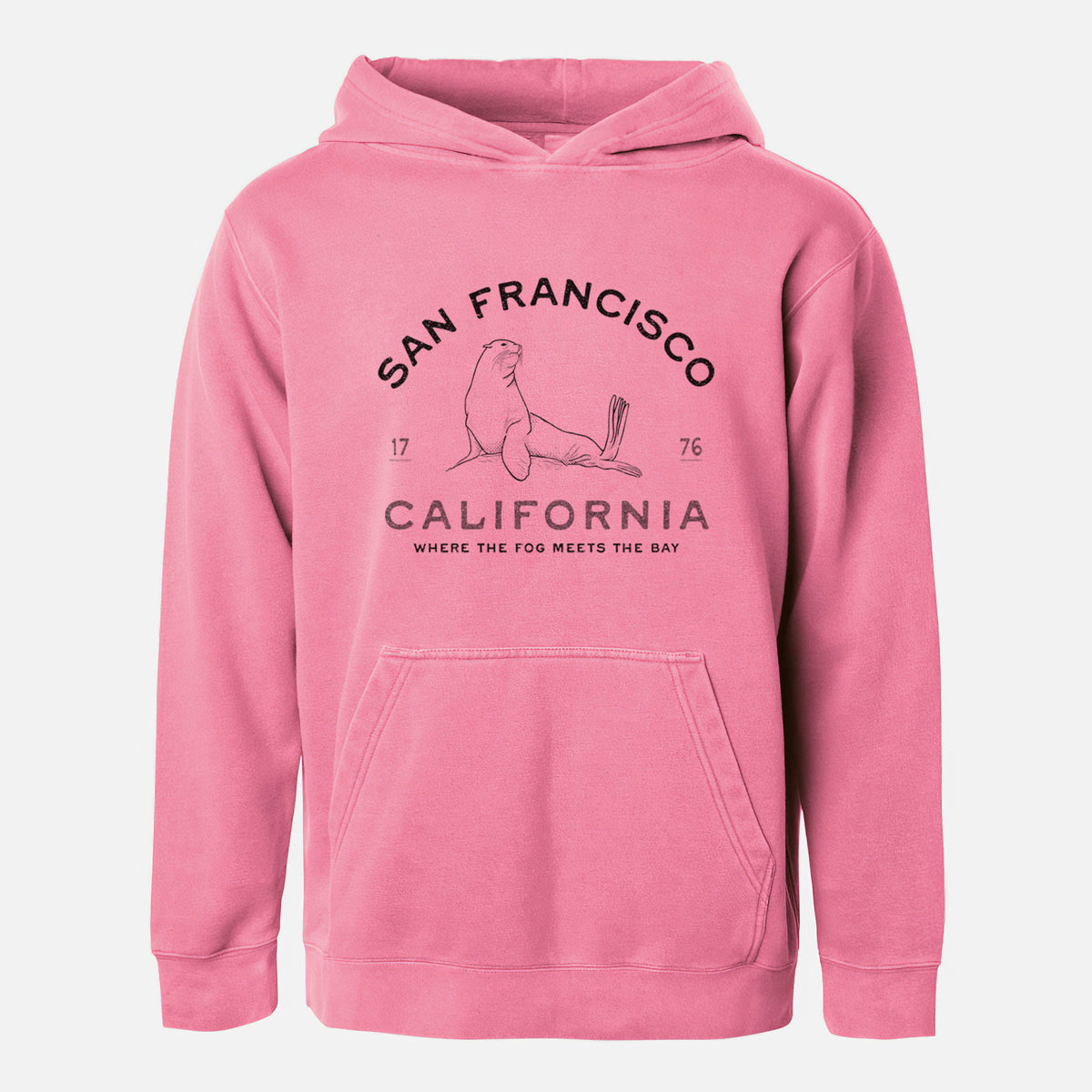 San Francisco California - Sea Lion - Youth Pigment Dyed Hoodie