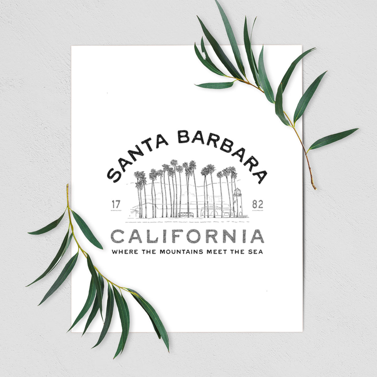 Santa Barbara California - Row of Palms - Fine Art Print