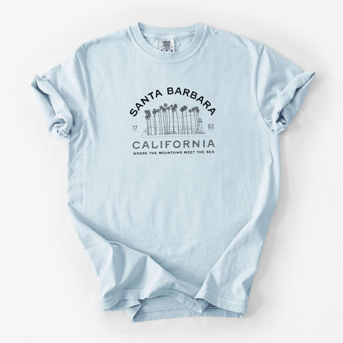 Santa Barbara California - Row of Palms - Unisex Comfort Colors Garment-Dyed Heavyweight T-shirt