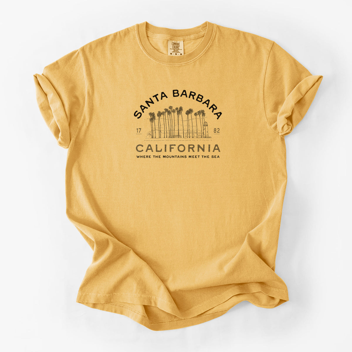 Santa Barbara California - Row of Palms - Unisex Comfort Colors Garment-Dyed Heavyweight T-shirt