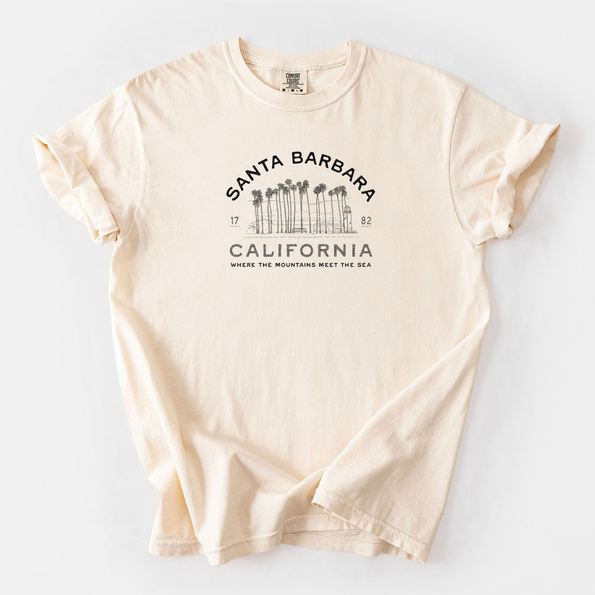 Santa Barbara California - Row of Palms - Unisex Comfort Colors Garment-Dyed Heavyweight T-shirt