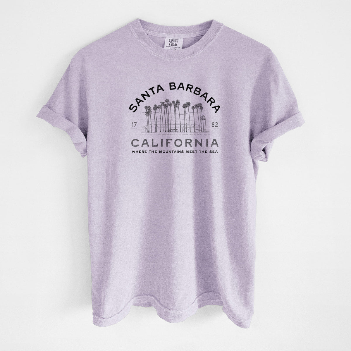 Santa Barbara California - Row of Palms - Unisex Comfort Colors Garment-Dyed Heavyweight T-shirt