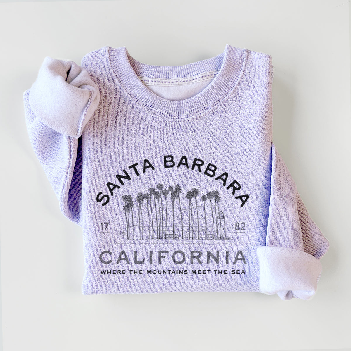 Santa Barbara California - Row of Palms - Knit Sweatshirt