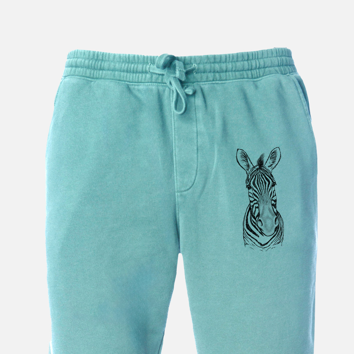 Damara Zebra - Equus quagga antiquorum - Unisex Pigment Dyed Sweatpants