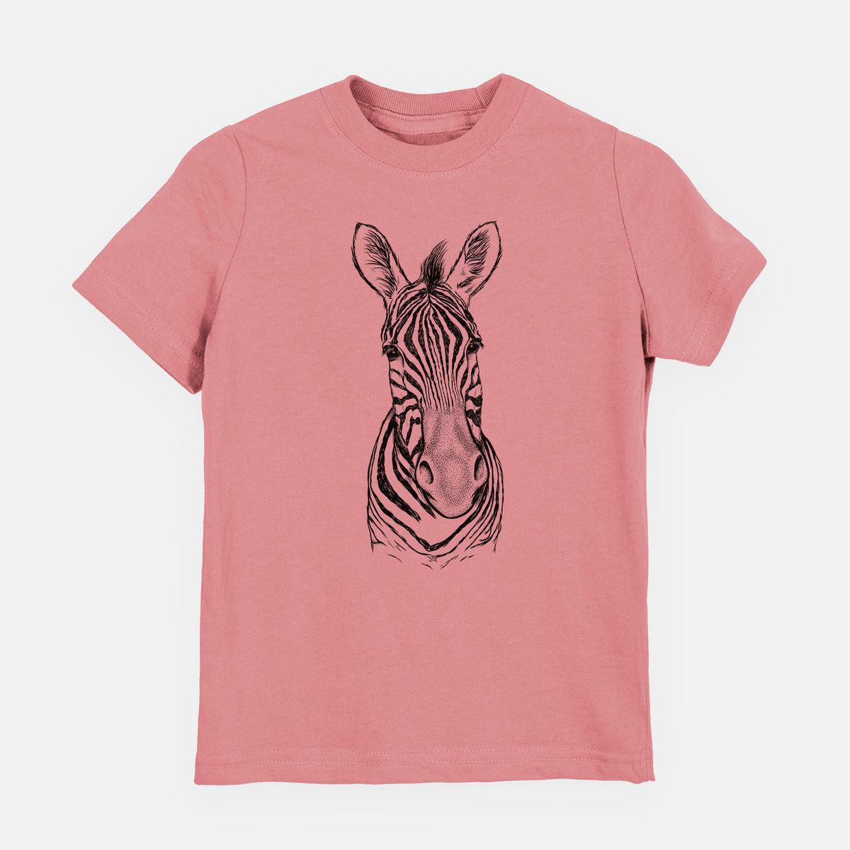 Damara Zebra - Equus quagga antiquorum - Youth Shirt