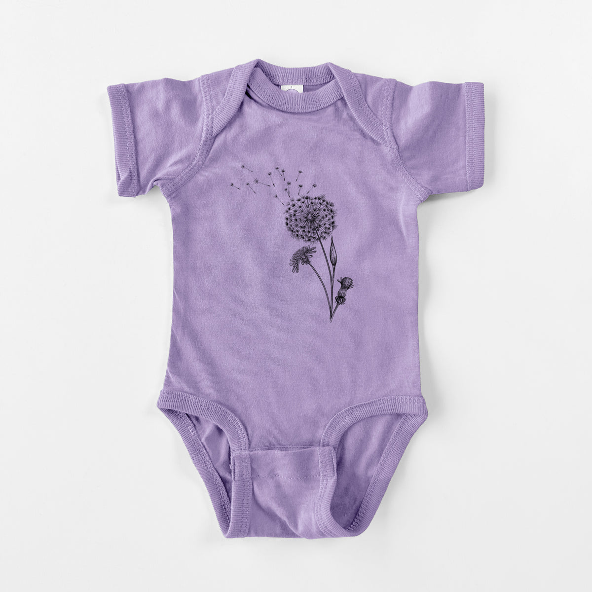 Common Dandelion - Taraxacum officinale - Baby Fine Jersey Bodysuit
