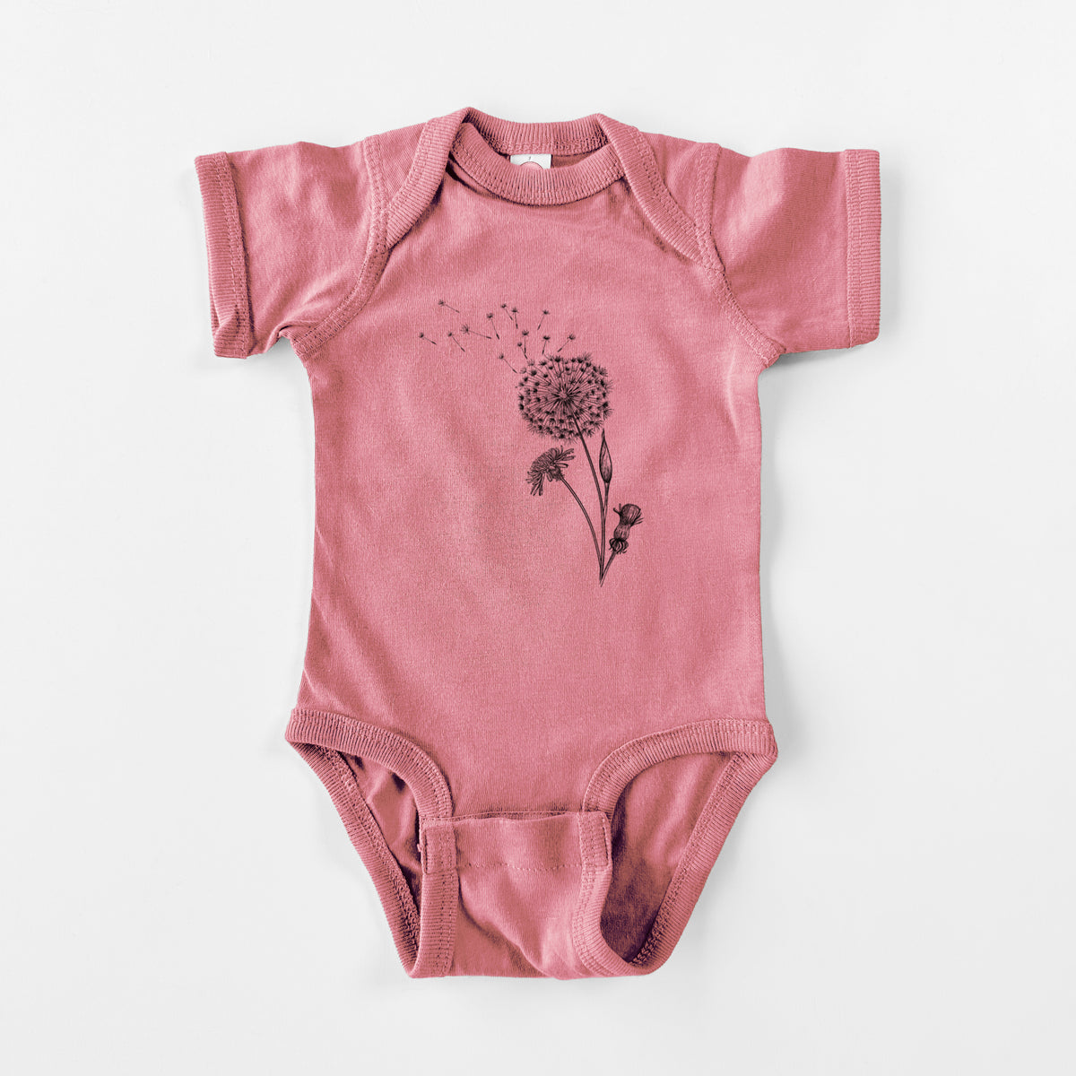 Common Dandelion - Taraxacum officinale - Baby Fine Jersey Bodysuit