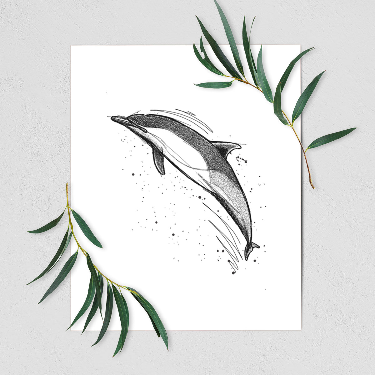 Short-Beaked Common Dolphin - Delphinus delphis - Fine Art Print