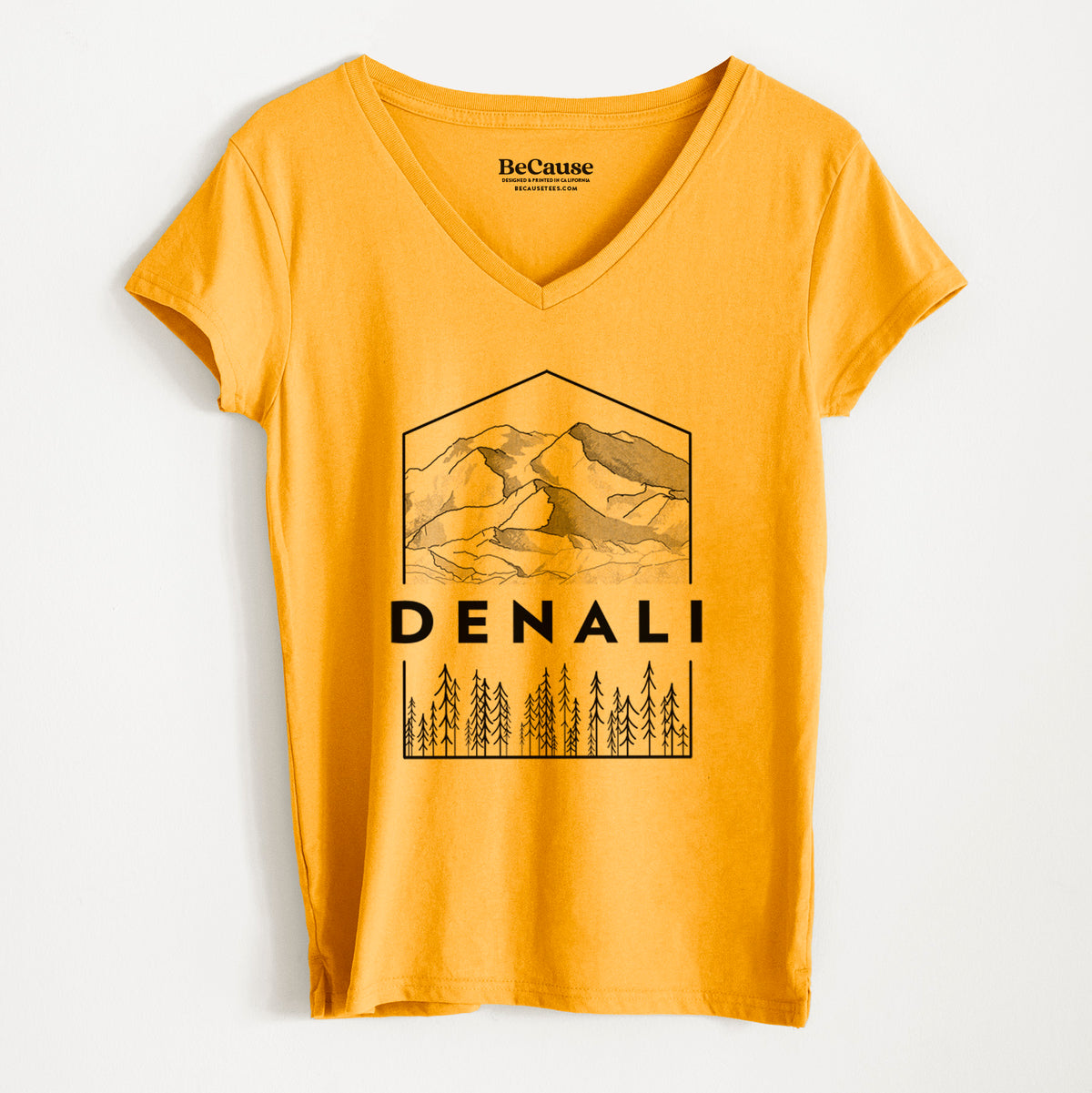 Denali Mountain - Denali National Park - Women&#39;s 100% Recycled V-neck