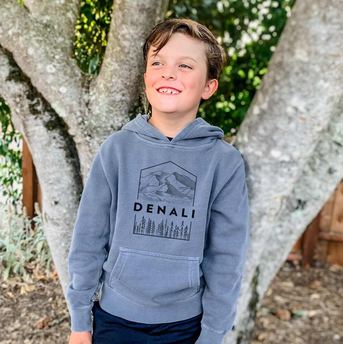 Denali Mountain - Denali National Park - Youth Pigment Dyed Hoodie