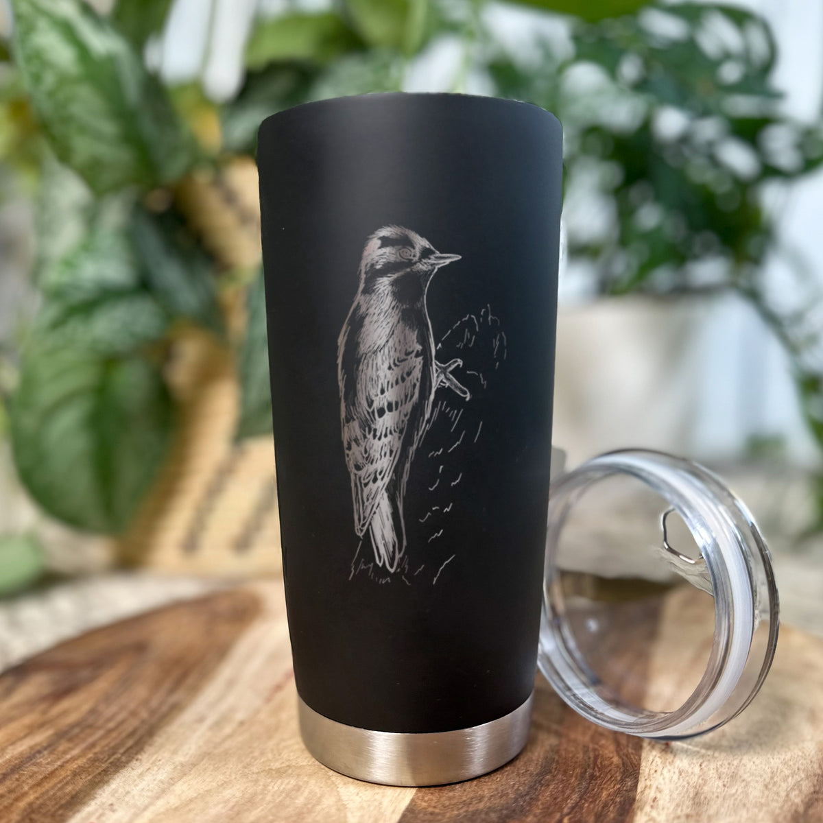 Downy Woodpecker - Picoides pubescens - 20oz Polar Insulated Tumbler